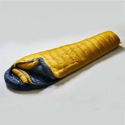 ISUKA | SHUGAKUSO ONLINE